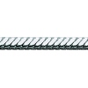 Ag SMS-19(角) RA