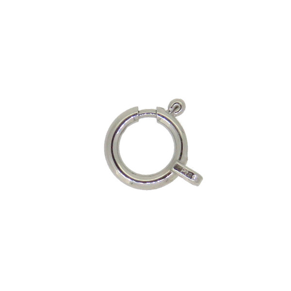Pt850 6SR SS-L 6mm